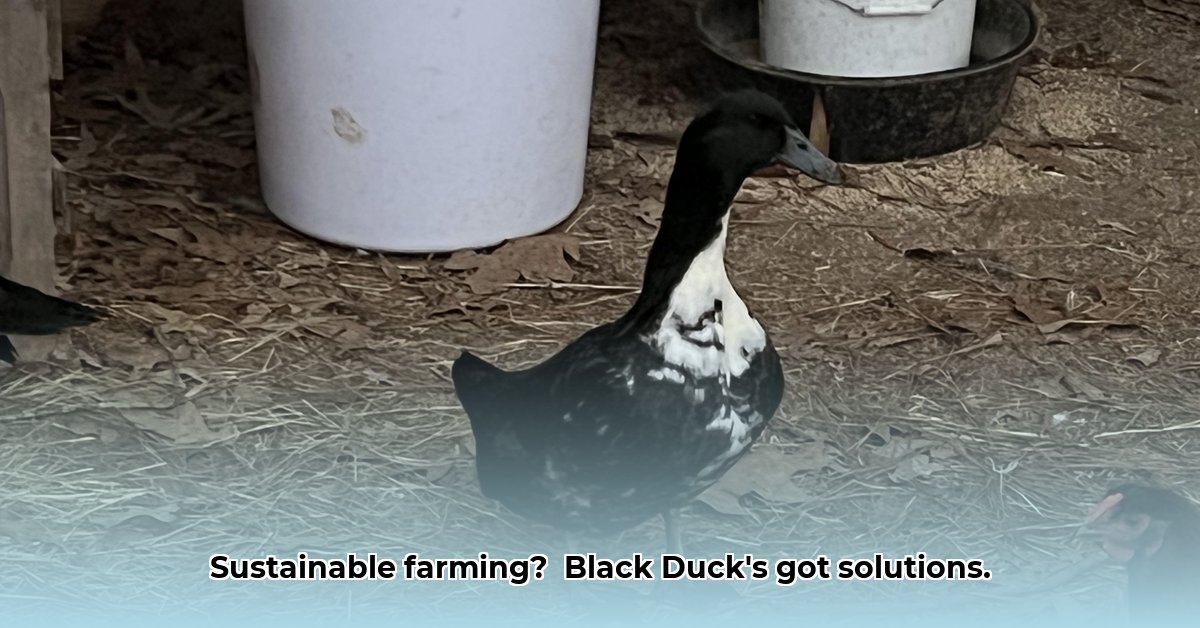 black-duck-tractor-supply